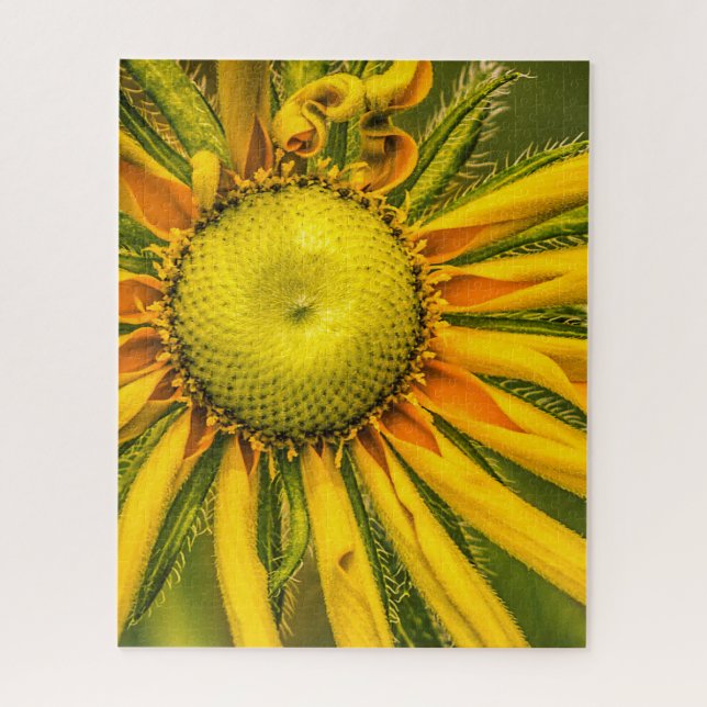 Rompecabezas florales (Vertical)