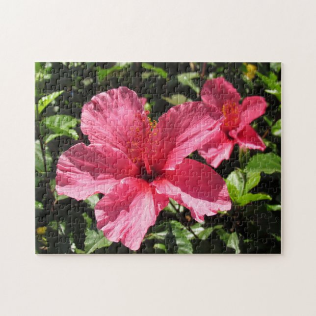 Rompecabezas - Flores de hibiscus rosado (2) (Horizontal)