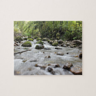 Rompecabezas fotográfico de Forest Stream