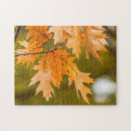 Rompecabezas fotográfico de hojas de otoño