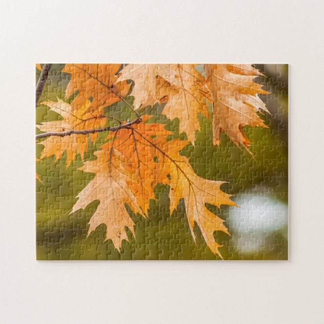 Rompecabezas fotográfico de hojas de otoño (Horizontal)