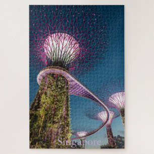 Rompecabezas fotográfico de Singapur