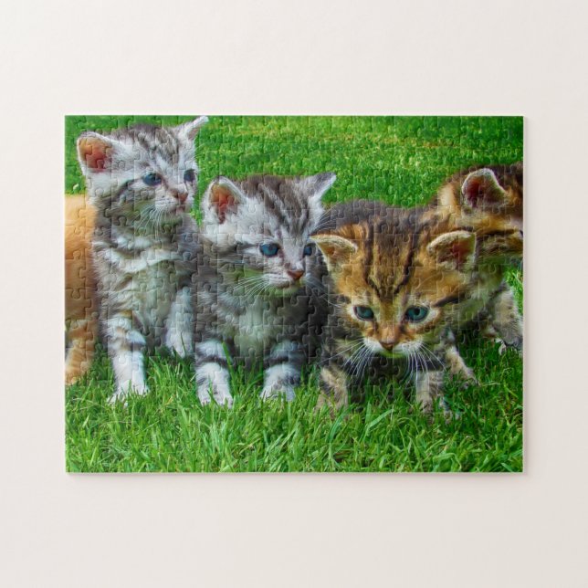Rompecabezas Gatitos (Horizontal)