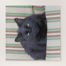 Rompecabezas - Gato acogedor en el cojín