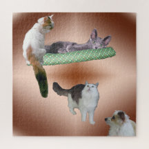 Rompecabezas - Gatos flotantes