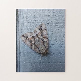 Rompecabezas gigante de Moth Jigsaw