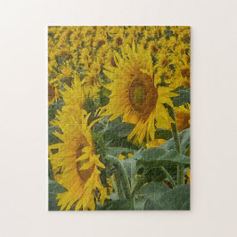 Rompecabezas Girasoles Asoleados, 11" x 14", 252 p