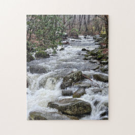 Rompecabezas Go With The Flow, 11" x 14", 252 piez