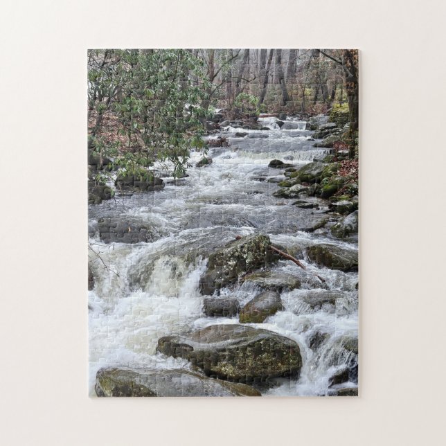 Rompecabezas Go With The Flow, 11" x 14", 252 piez (Vertical)