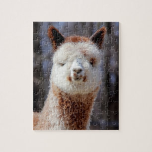 Rompecabezas gris borroso de la alpaca
