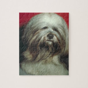 Rompecabezas gris del perro de Lasa Apso