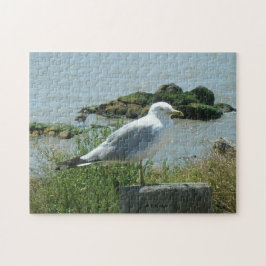 Rompecabezas - Gull on Piling
