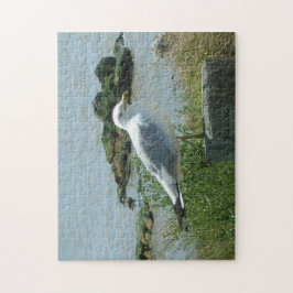 Rompecabezas - Gull on Piling