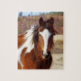 Rompecabezas hermoso del caballo de la pintura