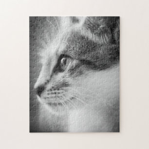 Rompecabezas hermoso del gatito