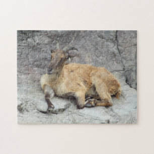 Rompecabezas Himalayan de Tahr