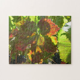 Rompecabezas - Hojas de uva rojas en el vino