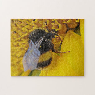 Rompecabezas Hummel auf Sonnenblumenblüte