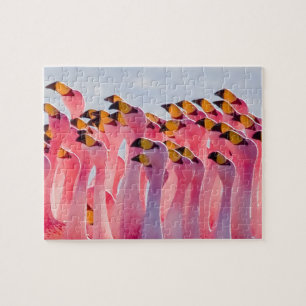 Rompecabezas imposible - Flamingos