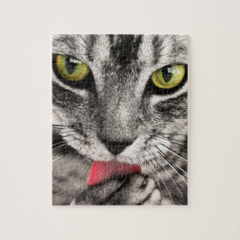 Rompecabezas imposible - Gato rayado gris