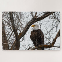 Rompecabezas imposible - Haliaetus