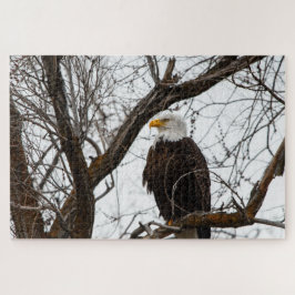 Rompecabezas imposible - Haliaetus