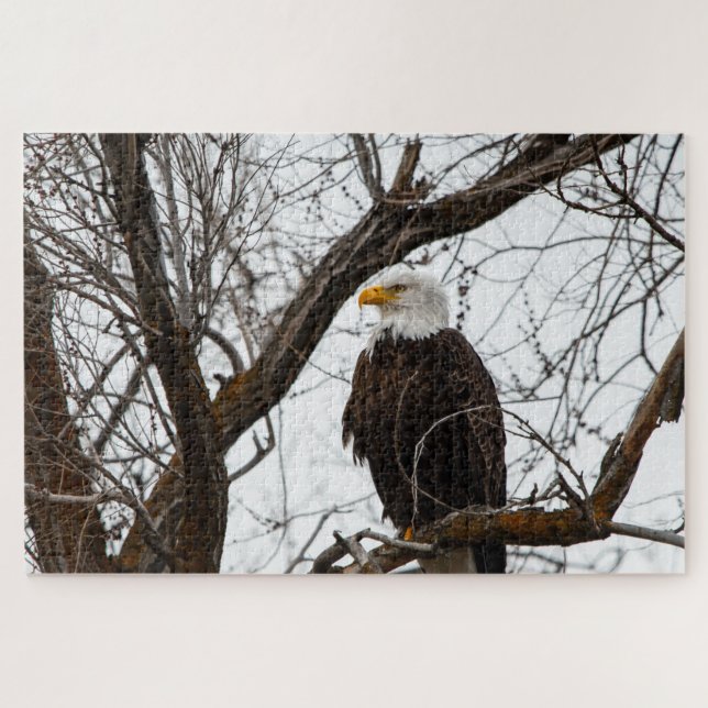 Rompecabezas imposible - Haliaetus (Horizontal)