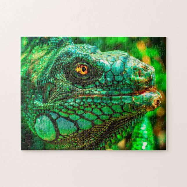 Rompecabezas imposible - Iguana (Horizontal)