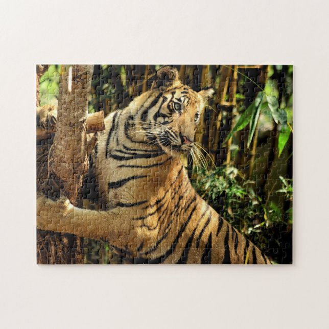 Rompecabezas imposible - Tigre de la jungla (Horizontal)