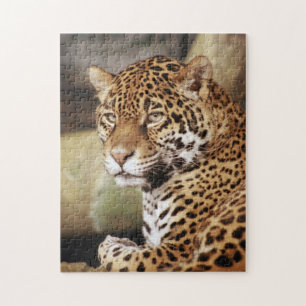 Rompecabezas jaguares
