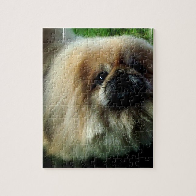 Rompecabezas lindo de Pekingese (Vertical)