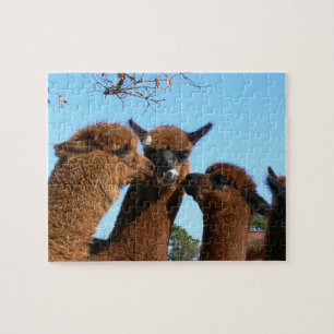 Rompecabezas lindos de la alpaca con la caja de