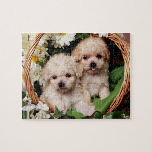 Rompecabezas lindos del perrito
