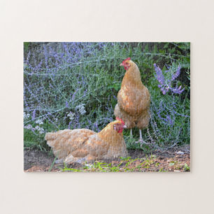 Rompecabezas magnífico del pollo