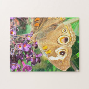 Rompecabezas - Mariposa Buckeye