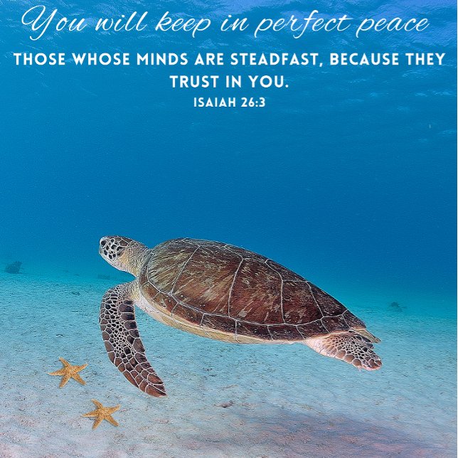 Rompecabezas Motivacional del Océano Escenario 20x (Subido por el creador)