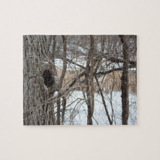 Rompecabezas muy difícil de la escena del invierno