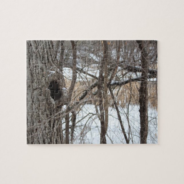 Rompecabezas muy difícil de la escena del invierno (Horizontal)
