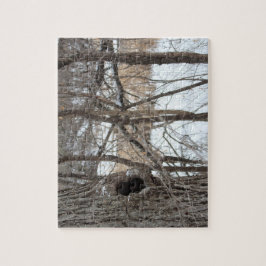 Rompecabezas muy difícil de la escena del invierno