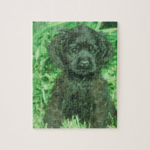 Rompecabezas negro del perro de perrito de cocker