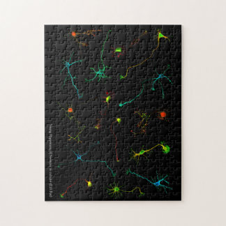 Rompecabezas NeuroStage3