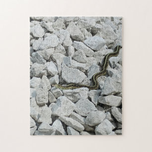 Rompecabezas oculto de serpiente