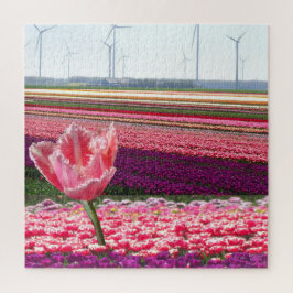 Rompecabezas paisajístico: Campo de tulipanes rosa