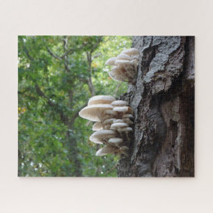 Rompecabezas paisajístico: Hermosos champiñones de