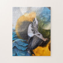 Rompecabezas Parrot Color Bird