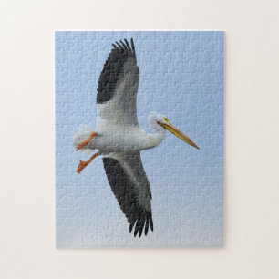 Rompecabezas Pelican 11x14