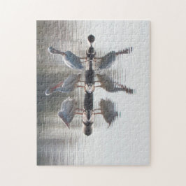 Rompecabezas - Pelícanos y reflexiones