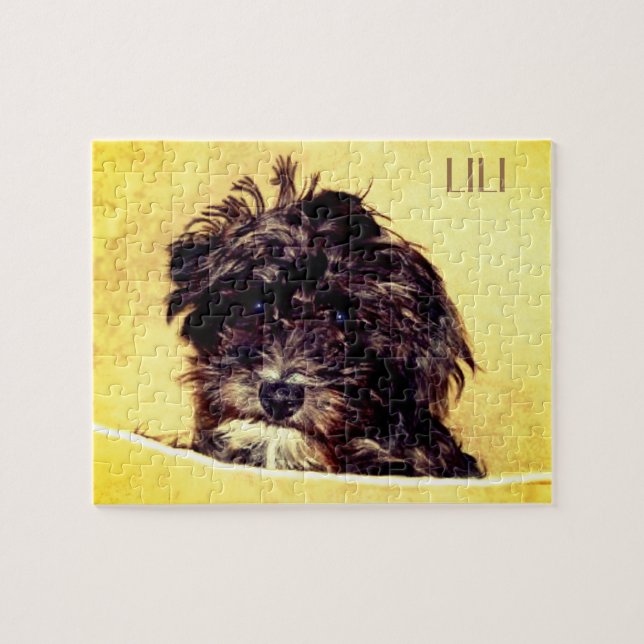 Rompecabezas personalizado de Schnoodle (Horizontal)