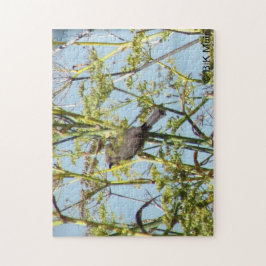 Rompecabezas - Pinzón sentado en ramas