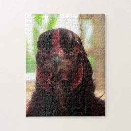 Rompecabezas - Pollo enojado